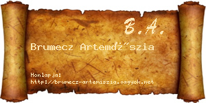 Brumecz Artemíszia névjegykártya